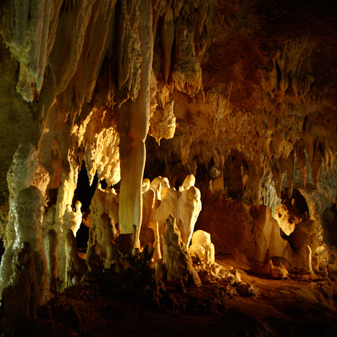 鍾乳洞 Limestone Cave